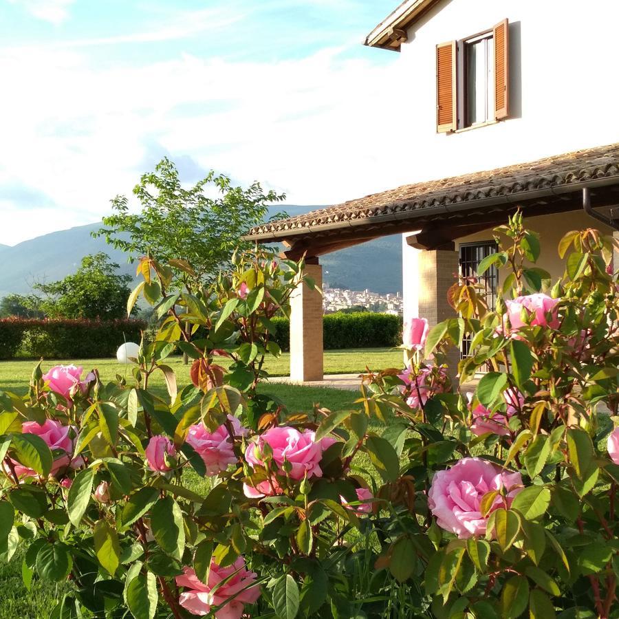 Podere Le Volte Degli Angeli Spello Exterior foto